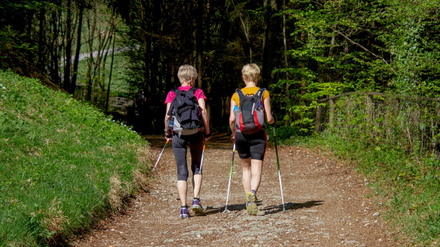 Nordic walking co to jest?